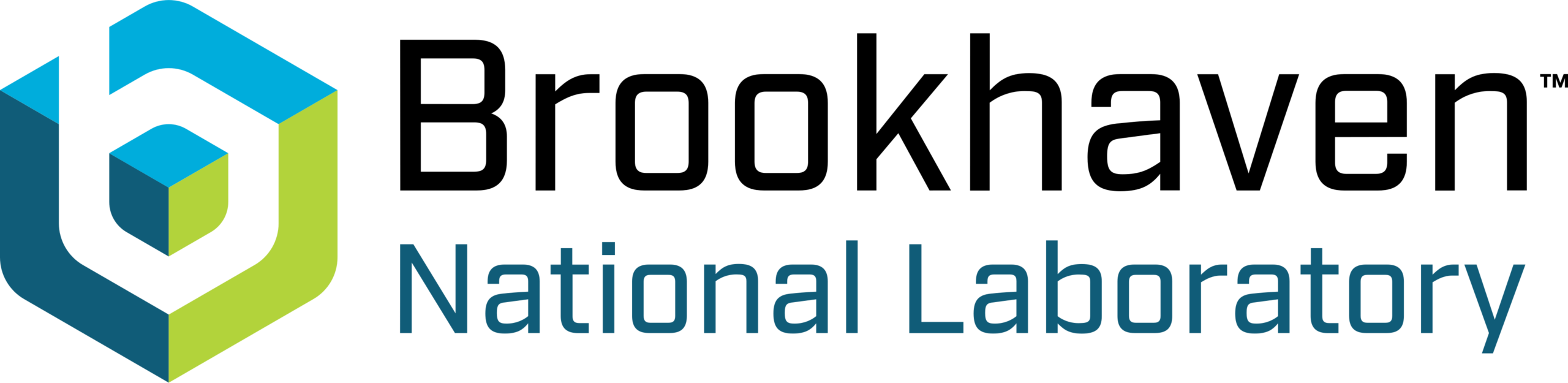 Brookhaven National Laboratory logo